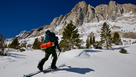 MICRODOSE Elena Hight - Dose 5 of 5