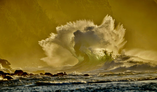 MICRODOSE Elena Hight - Dose 1 of 5