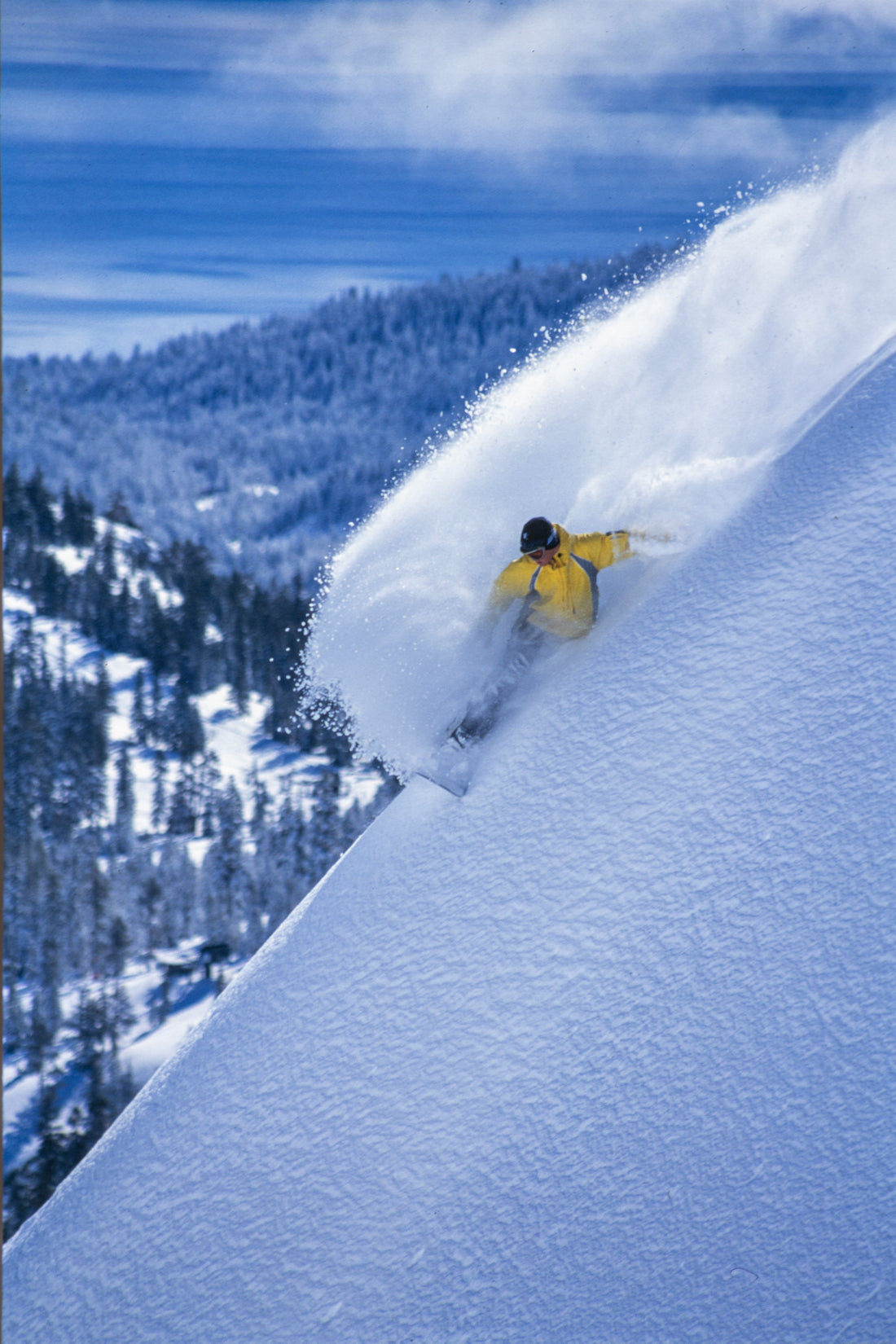 Snowboarder Carving Powder In Tahoe, California